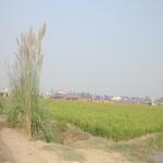 Vraj-Yatra-2014- (2543)